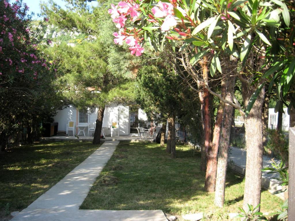 Vila Branka Čanj Exteriér fotografie